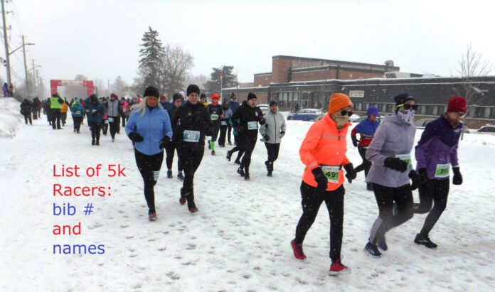 Lisa Desjardins: Bio, Height, and Weight