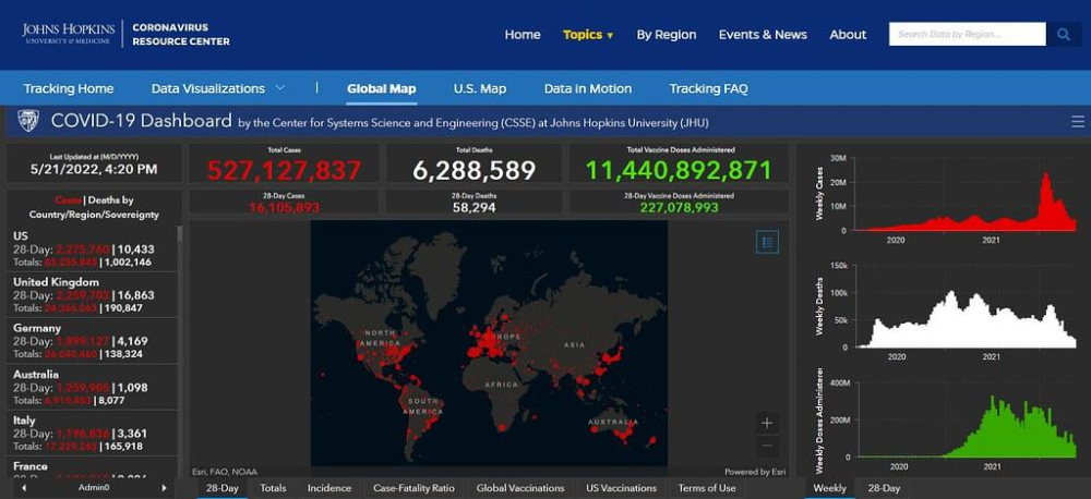 The Ultimate Guide to Designing a Functional Dog Room: Tips and Ideas