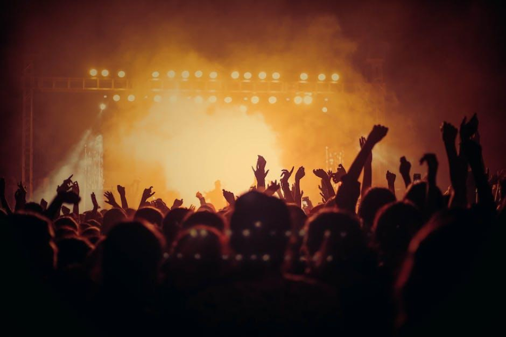The Impact of Music on Dogs: Investigating How Canines React to Different Genres