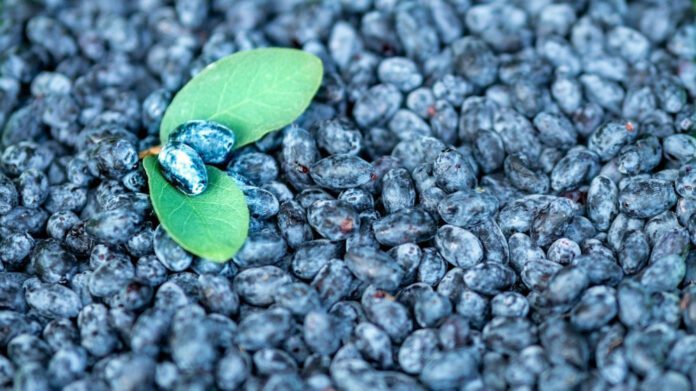 The Surprising Benefits of Quitting Pornography