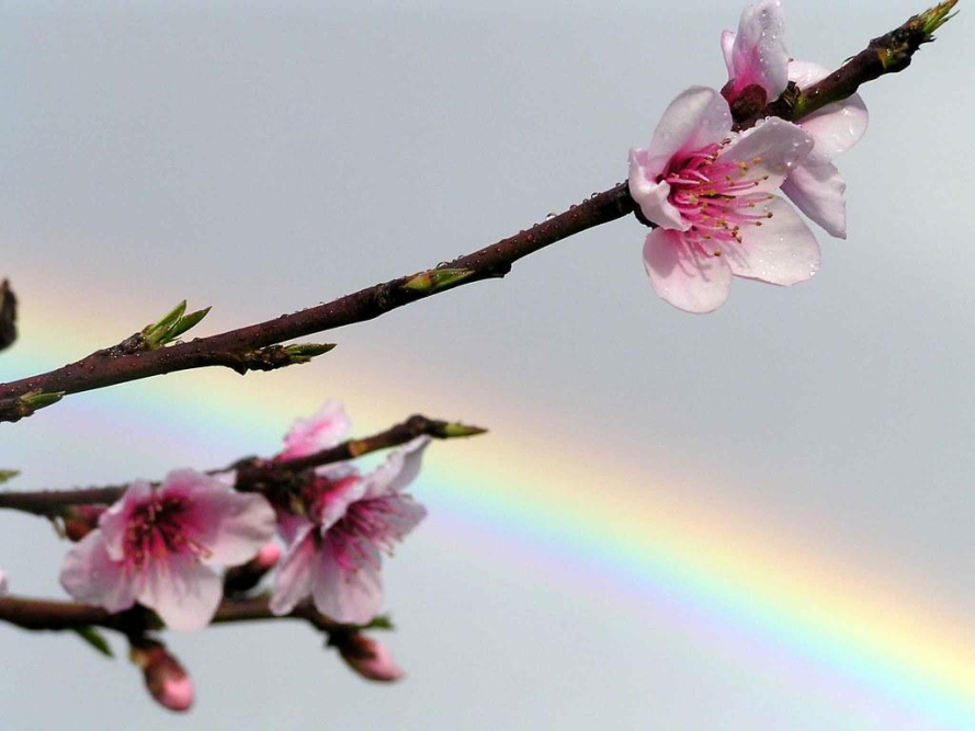 Gracefully Declining a Family Wedding Invite: A Guide