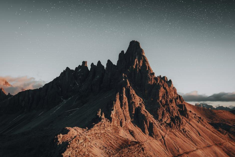 Suits Stars Dazzle at Royal Wedding